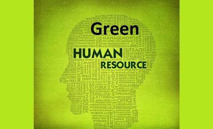 Building A Green HR