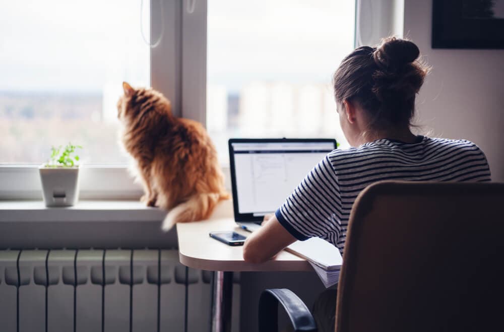 Remote Working Challenges and suggested solutions