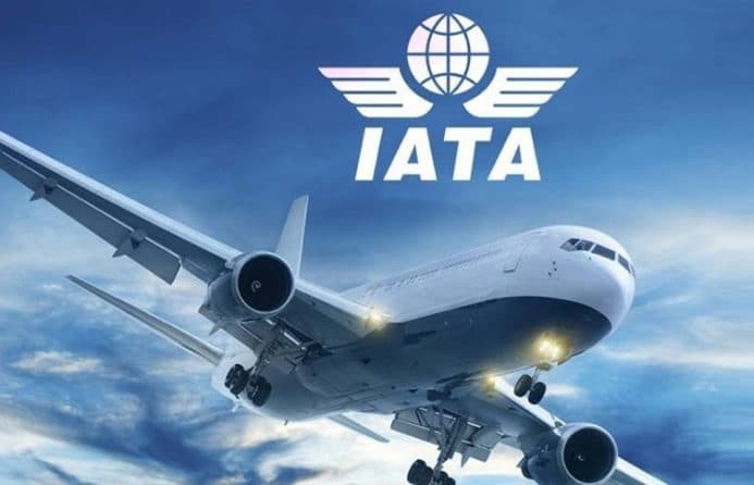IATA urges Centre to support Indian airlines to tide over COVID crisis