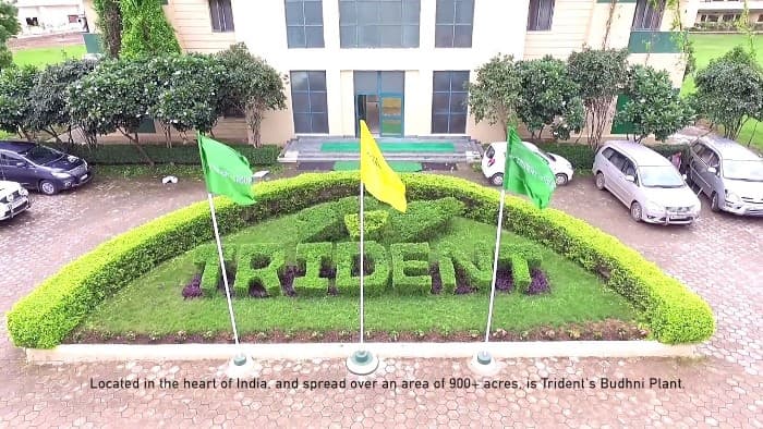 Trident Group to distribute ESOPs worth Rs. 200 cr in next fiscal