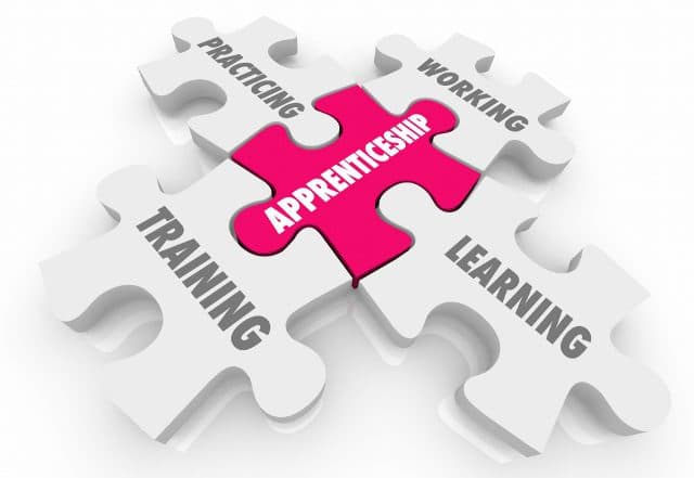 Apprenticeship is crucial to building human intelligence