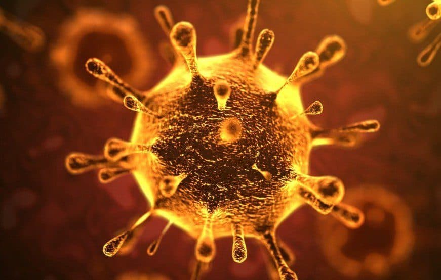 Coronavirus in India WHOs guidelines for the workplace
