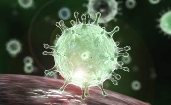 Bengaluru techies test positive for COVID-19