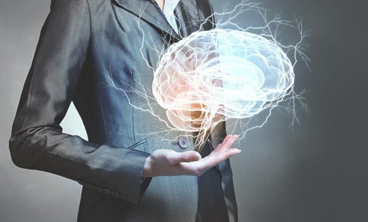 Latest news: The Role of Organizational Neuroscience in HR - SightsIn Plus