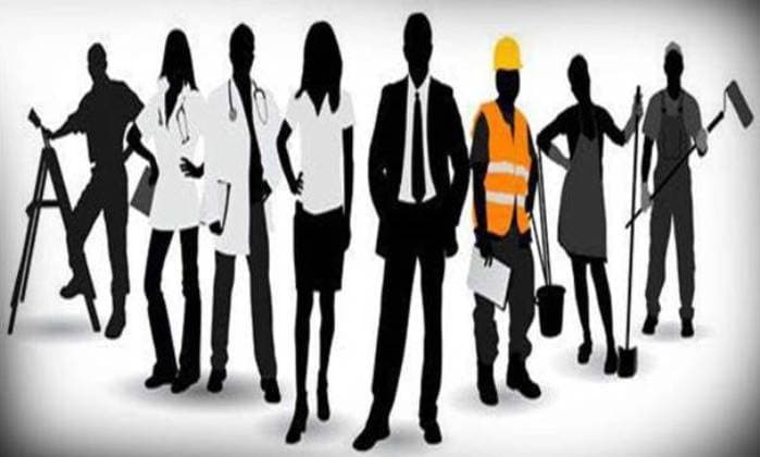 Payroll Reporting in India A Formal Employment Perspective