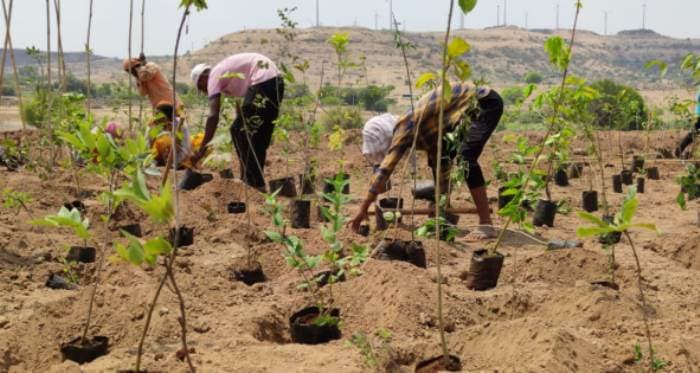 SightsIn Plus Article: Sony Pictures Networks joins hands with SayTrees for a greener planet