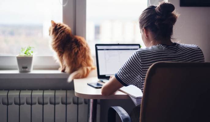Four-day workweek likely to be implemented from FY 2022-23