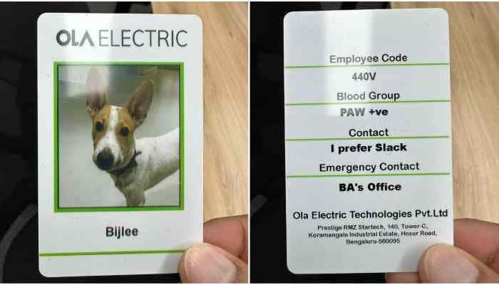 Ola Electric hired dog ‘Bijlee’ as a company employee