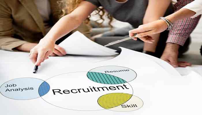 Intent to hire freshers improves by 6% in January – June 2024
