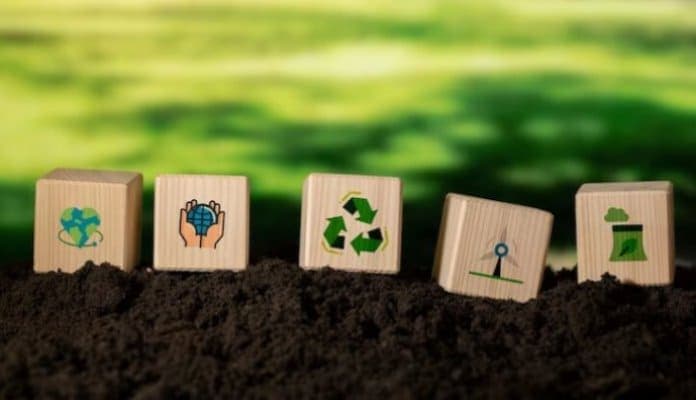 HR Insights: Sustainability in HR transcends compliance, driving meaningful change - SightsIn Plus