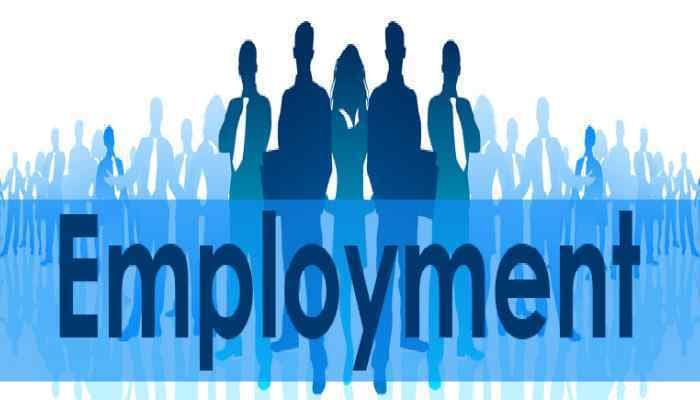 EPF and ESIC Registrations Drop as Formal Job Slows in October
