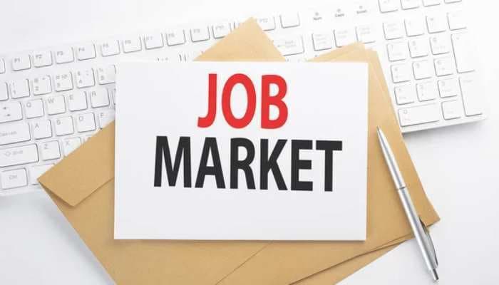 Job Opportunities Surge in Indias Emerging Cities Report