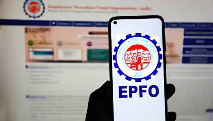 EPFO Membership Grows by 14.63 Lakh in November 2024