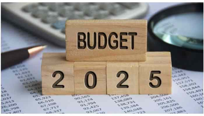 Indias Budget Boosting Female Labor Force Participation