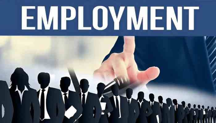 November Sees Drop in Formal Employment in Key Schemes