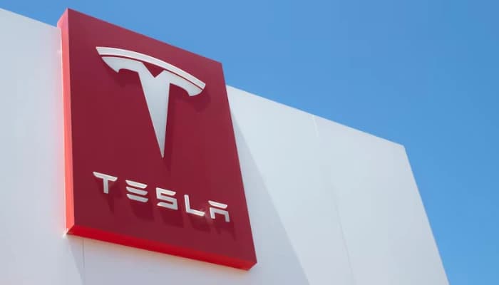 Tesla Faces Leadership Crisis as Top Investor Calls for Elon Musk’s Exit