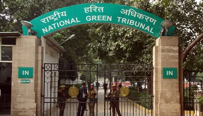 SightsIn Plus Article: National Green Tribunal Summer Internship 2025: Details Inside
