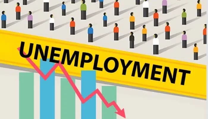 Unemployment Rate Declines to 4.9%: What the Latest Survey Reveals
