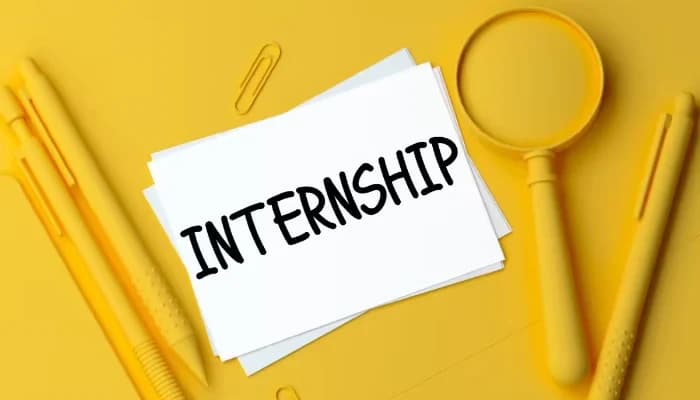 Bihar Rolls Out Paid Internship Scheme for Lakh Youth