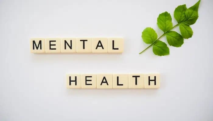 SightsIn Plus Article: Mental Health in Focus After Engineer’s Suicide at Pune IT Park
