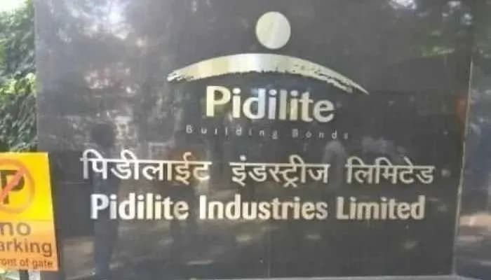 Pidilite Partners with ITIs to Skill Over One Lakh Youth