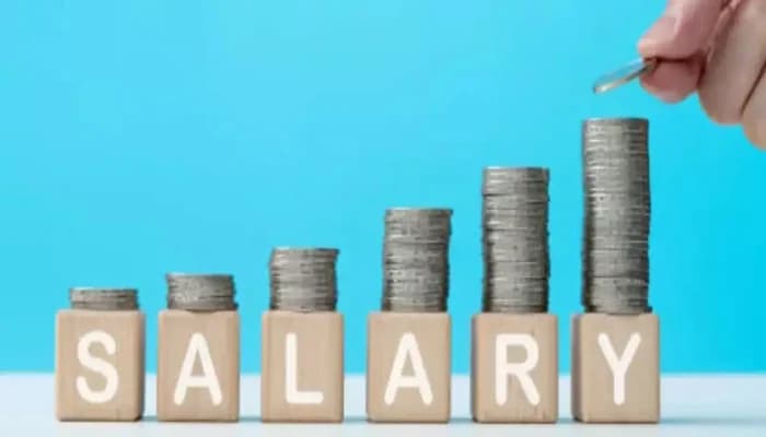 Latest news: How Skills-Based Rewards are Shaping Indias Salary Trends - SightsIn Plus