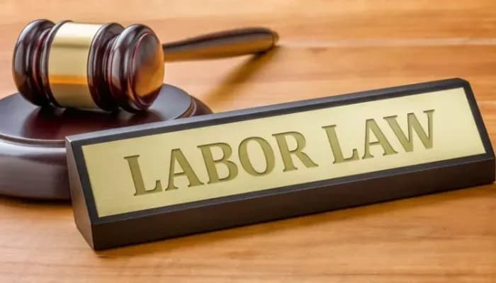 Labour Codes Ensure Seamless Operations and Universal Benefits