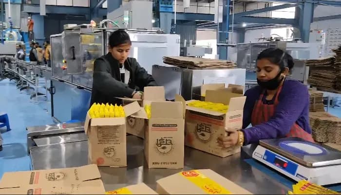 RSPL Group Sets New Standards with Women-Led Workforce in Uttar Pradesh