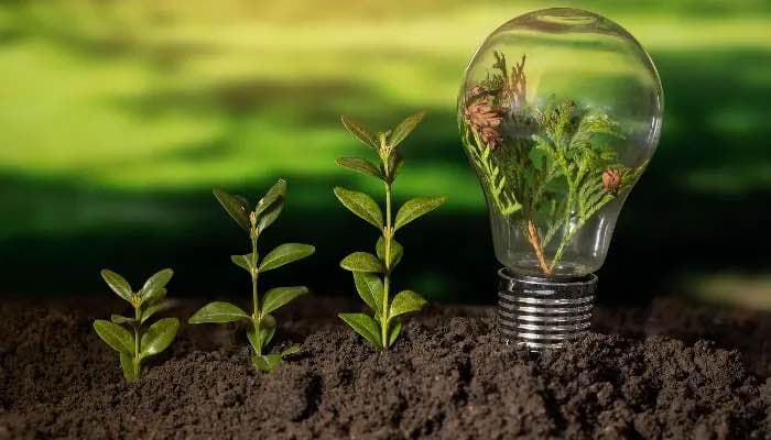 SightsIn Plus Article: Forget Traditional Tech: Why Green Entrepreneurship is the Future of ‘Make in India’