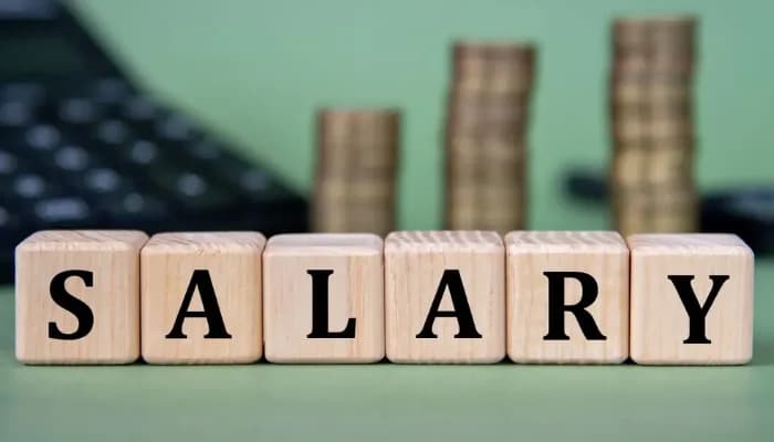 New Salary Structure Rules Mandate Basic Pay